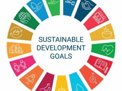 Fundamentals of Sustainability