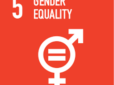 Gender, Environment and Sustainability
