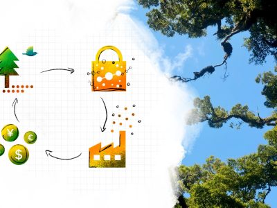 GlobalInsights_CarbonOffsets_Hero_11