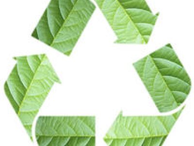 Sustainability and the circular economy