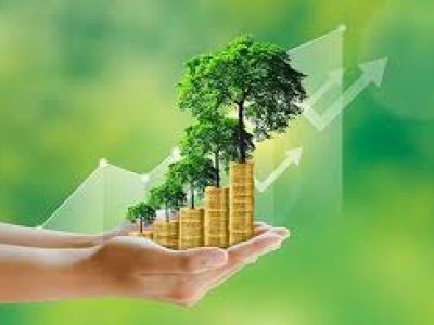 Sustainable Procurement