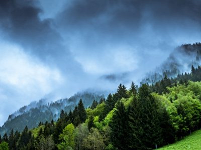 photo-1464039397811-476f652a343b