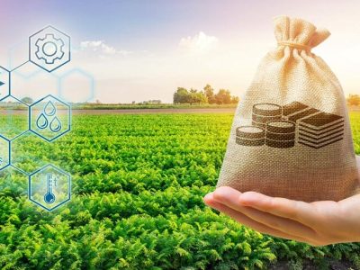 shutterstock_1635308305-NL